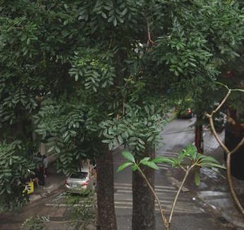 Hai Ba Trung Bed & Breakfast | The First Ba Trieu Ha Noi