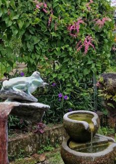 Mendoyo Bed & Breakfast | The Hidden Gem of Jembrana Bali
