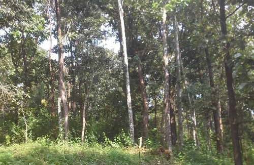 Kaimane House | The home stay in nature's castle