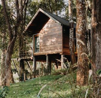 Doi Saket Resort | The Jungle Touch