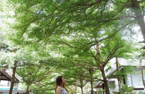 Mlati House | The Mesco Residence at Hyarta