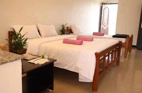 Tenkasi Hotel | THE MOUNT VIEW CASTLE HOTELS and RESORTS