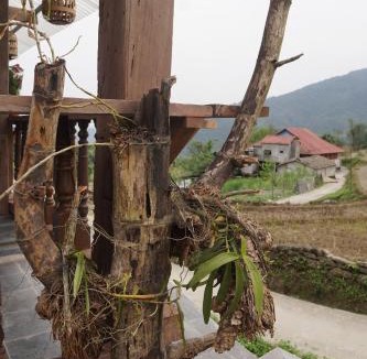 Ha Giang House | The Stilt House by Ha Giang Adventure