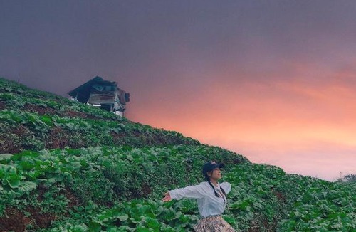 Mae Rim House | The sun Sky monjam เดอะซัน สกาย ม่อนแจ่ม