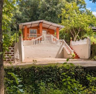 Maina House | The Treehouse