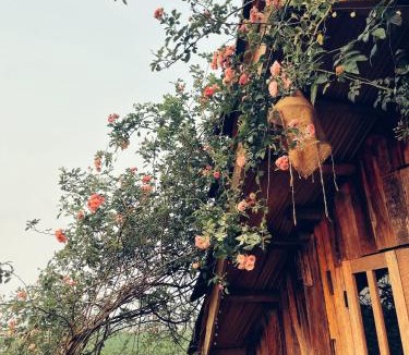 Moc Chau Cabin | Tiệm Cà Phê Mer Homestay & Coffee Mộc Châu
