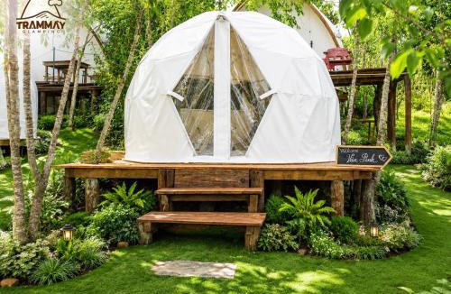 Da Lat Other | Trạm Mây Glamping