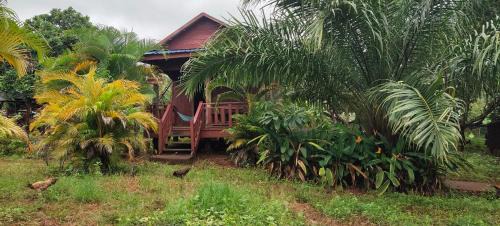 Ban Lung Cabin | Tree Trails Homestay & Offers Jungle Trekk-Scooter For Rental