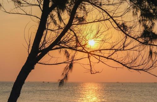 Suoi Nuoc Beach Other | Tropical eglamping Mũi Né