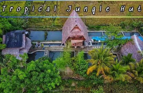 Bohorok House | Tropical Jungle lodge & Jungle trekking