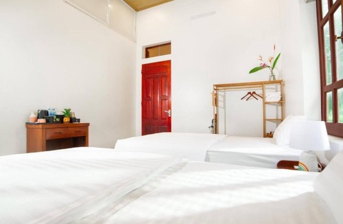 Son Tay Bed & Breakfast | Twin Room with Garden View