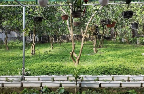 Son Tay Bed & Breakfast | Twin Room with Garden View