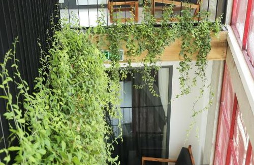 Quy Nhon Hotel | Umi House Quy Nhơn