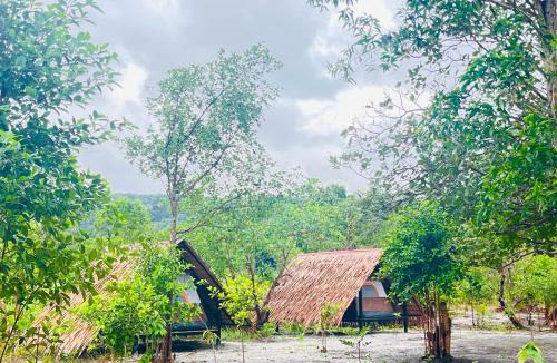 Koh Rong Other | Veha Koh Rong