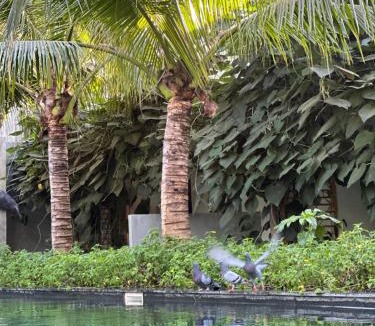 Sen Sok Hotel | veHaa BOUTIQUE HOTEL