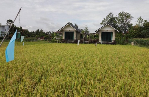 Pua Ski Chalet | Vieng pua homestays