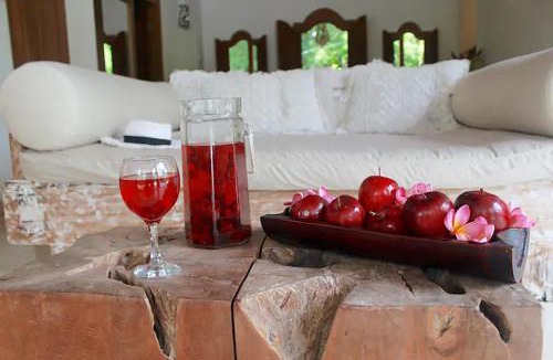 Sengkidu Villa | Villa Hanoman Candidasa - 3 Bedrooms With Private Pool