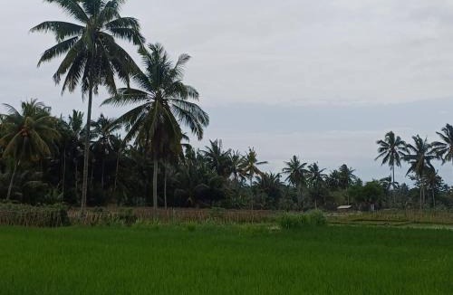 Kecamatan Pringgasela House | Villa Ilham Ketembong