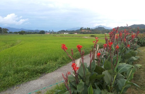 Kampung Kedawang House | villa tempoyak homestay