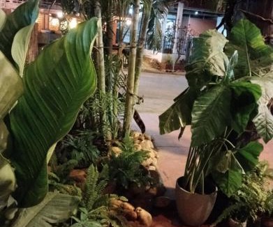 Nong Khiaw House | Vinla Guesthouse & Backpackers Hostel