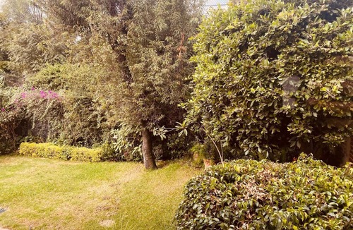 Coyoacan House | Welcome to Jardines del Pedregal in Mexico City!