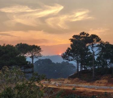 Da Lat Cabin | Xóm nhà lá homestay