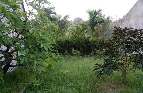 Ninh Binh Cabin | Yen Binh Homestay