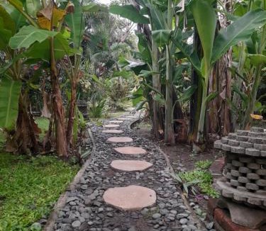 Pejarakan House | Yuda Menjangan Homestay