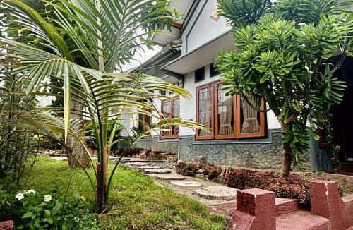 Banyuwangi Hostel | ZZZ Ijen Hostel
