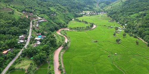 เวนิสบ้านเวร