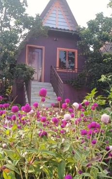 ណាវិតាយ៉ារី បឹងហ្គាឡូ Navitayary Bungalow
