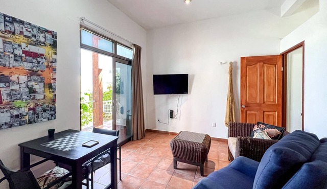 1BR w/panoramic views