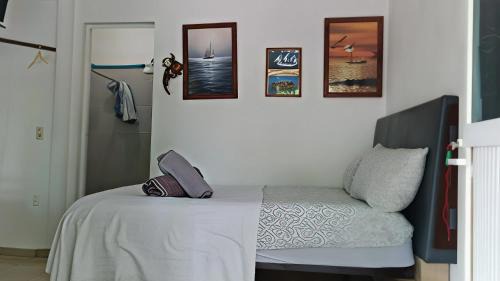Affordable, Comfortable, and Convenient – Barcos in Manzanillo