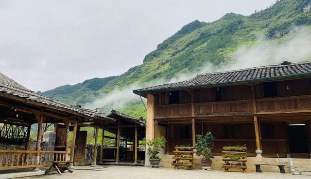 Amazing Mèo Vạc