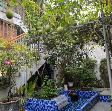 Asahi Luxstay - Homestay Đường Lâm Hostel