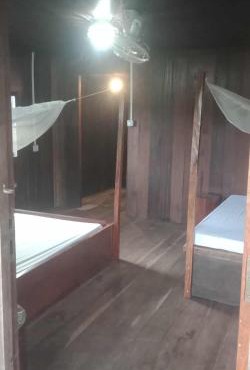 Avocados homestay