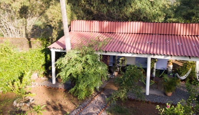 Beach Accommodation in organic garden. in the middle of Nature. Secret surf spot