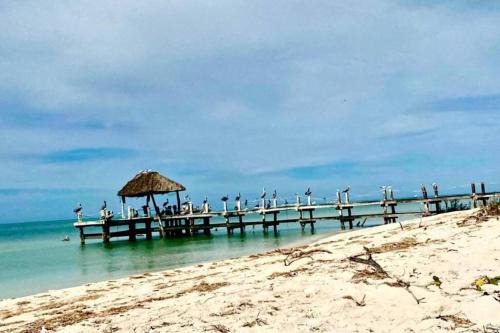 Beachfront apartment with swimming pool. One bedroom in Celestún