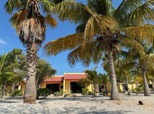 Beachfront department Celestun in Merida