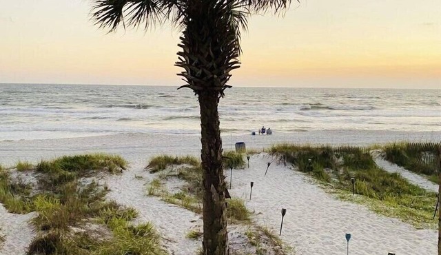 Beachfront "Sealee" Unit # 16 West End Of PCB Beach Right Out Your Back Door! in Panama City Beach