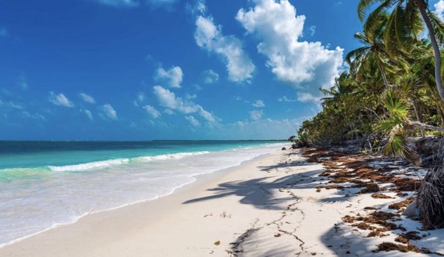 Beachfront Tulum Villa