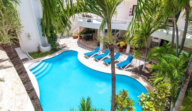 Blue Palms Suites, Pool Onsite, Steps to the Beach & 5th Ave