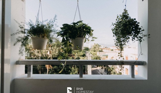 BnB Homestay awaits