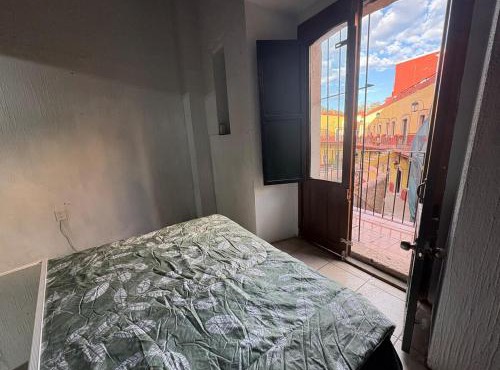 Bugambilias in Zacatecas