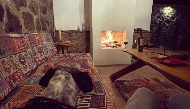 Cabañas Villaseñor Catalina Pet and 420 Friendly in Huasca de Ocampo