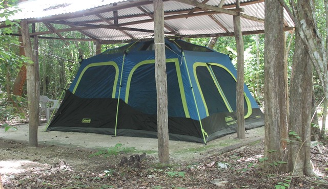 Campamento Yaaxche en Calakmul in Calakmul