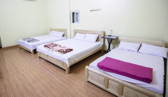 cao nguyên đá , hoa tam giác mạch