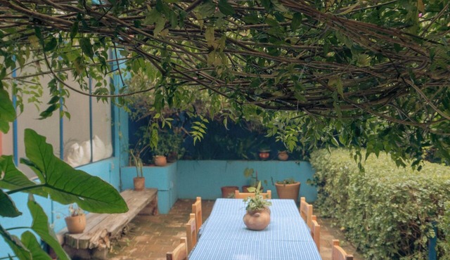 Casa Centralita: central San Cris, with views, yard, fire pit + tree house!