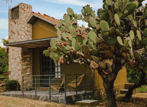 Casa Noma