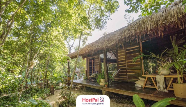 Casa Selvática Kokom | Ruta de los Cenotes | 6 PAX